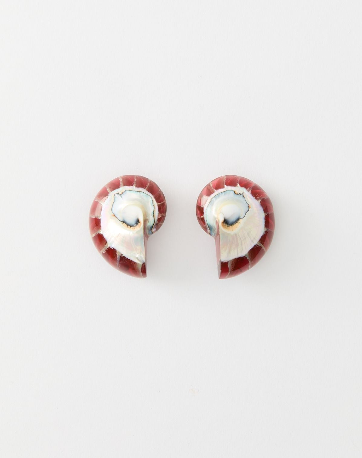 Nautilus Earrings