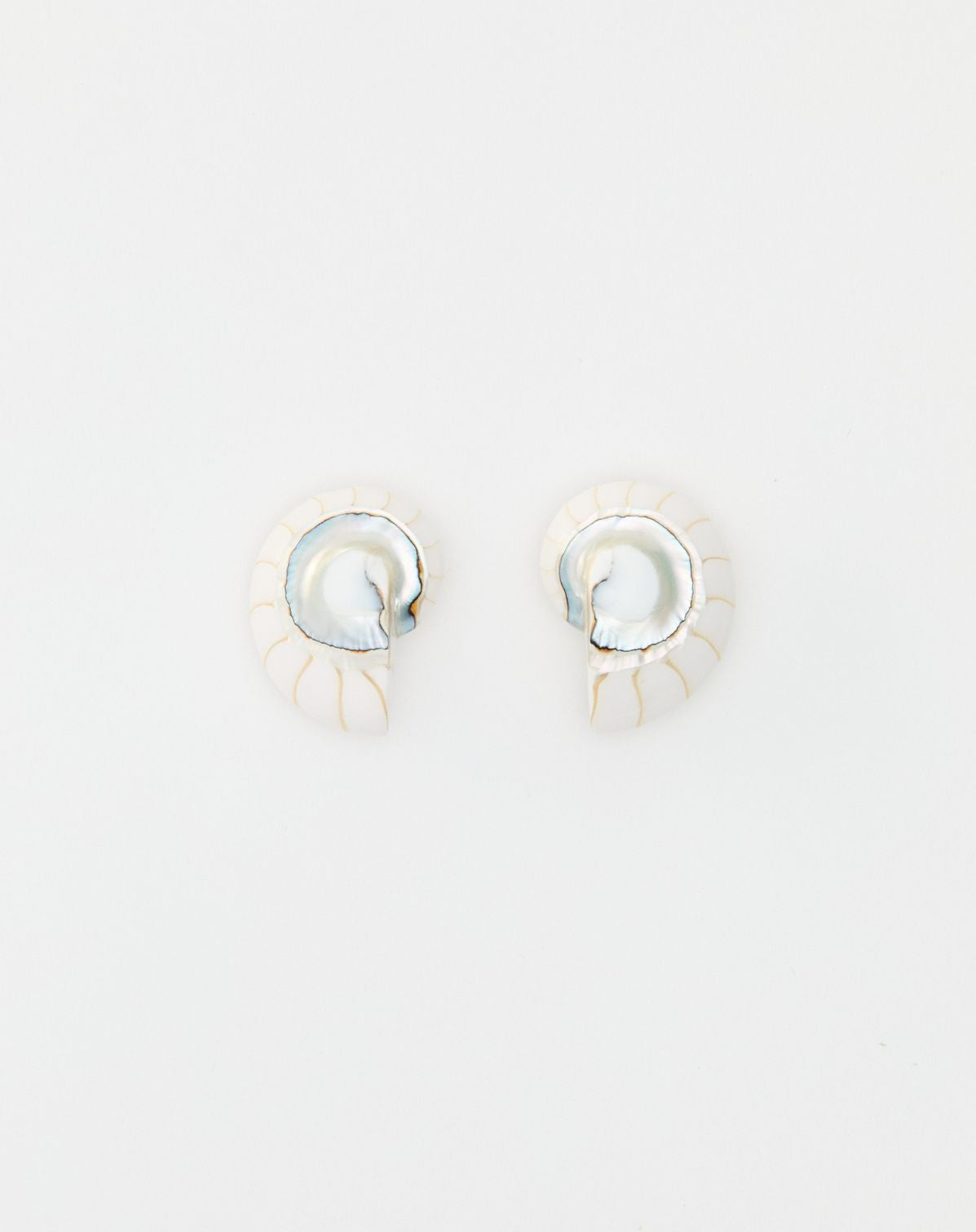 Nautilus Earrings