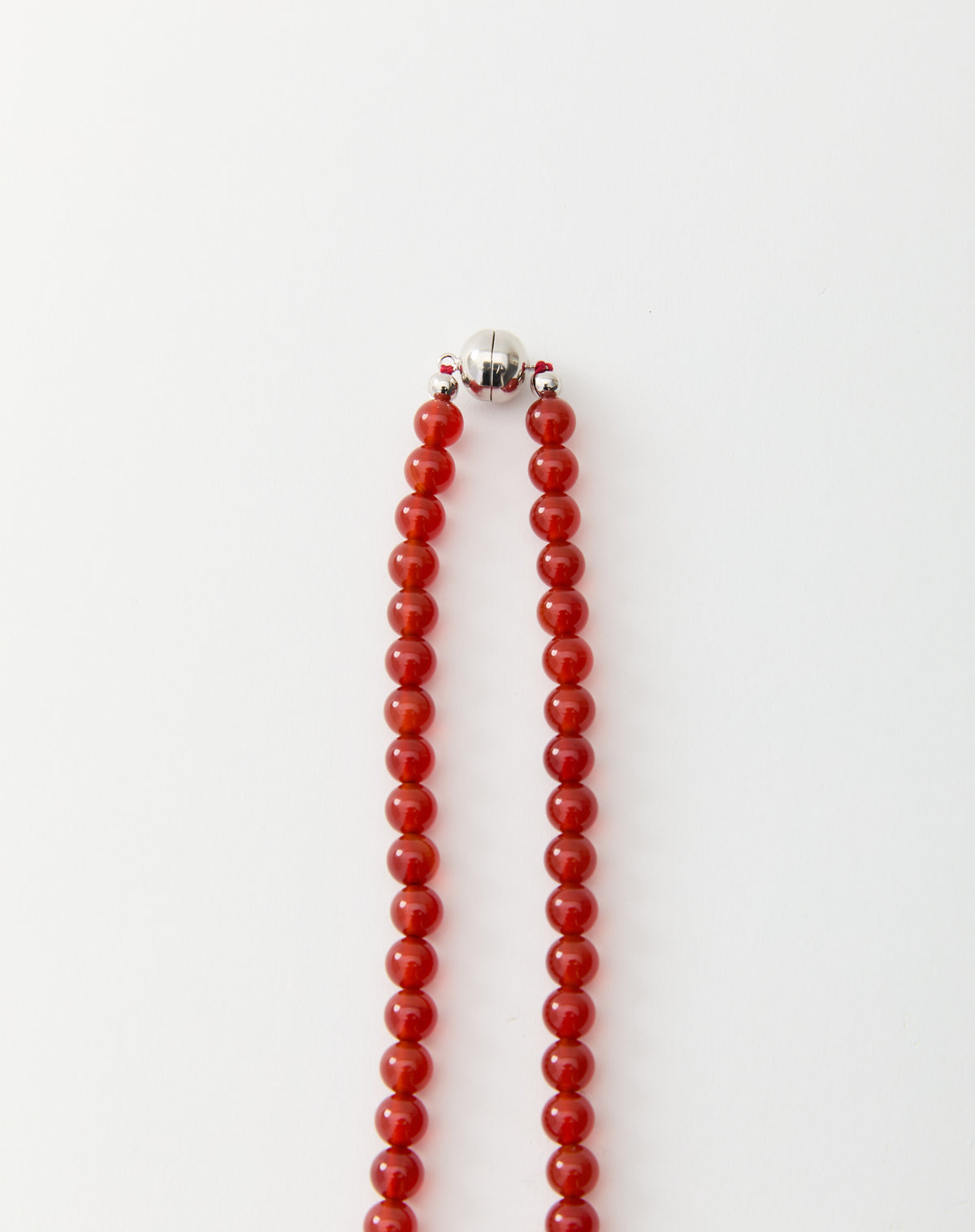 Delfina Linea