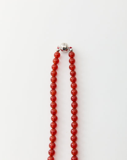 Delfina Linea