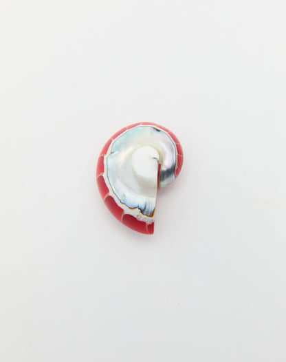 Nautilus Earrings