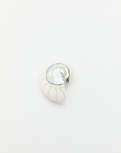 Nautilus Earrings
